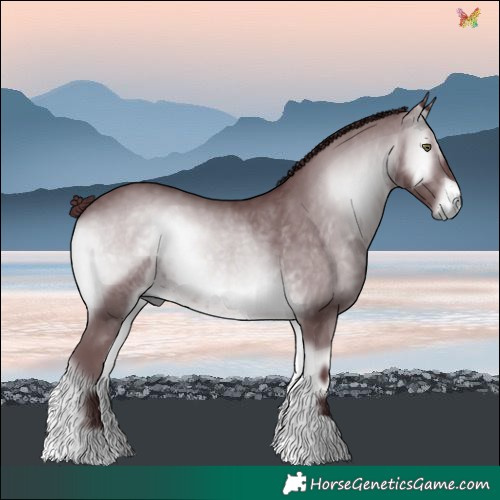 Horse Color:Chocolate Brown Chinchilla Onyx 