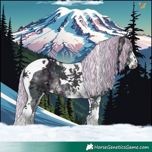 Horse Color:Painted Watercolor Midnight Silver Brown Ice Sabino Tobiano 