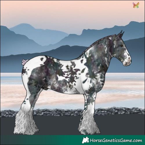 Horse Color:Painted Watercolor Midnight Silver Brown Ice Sabino Tobiano 