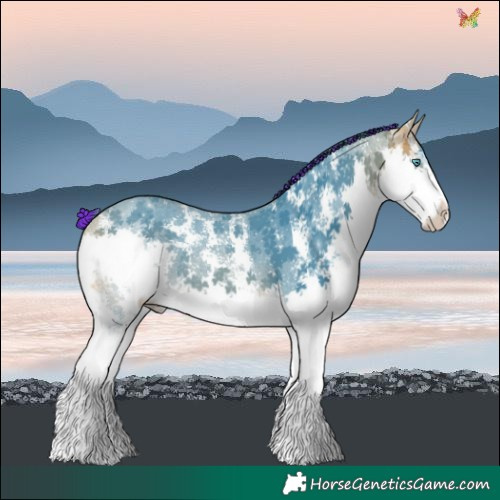 Horse Color:Painted Watercolor Buckskin Sabino Splash 