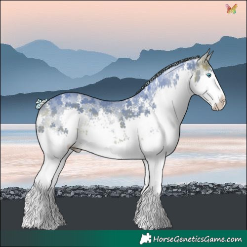 Horse Color:Painted Watercolor White Spotted Silver Brown Sabino Splash 