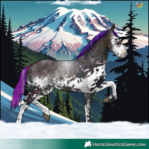 Horse Color:Painted Watercolor White Spotted Midnight Buckskin Ice Onyx 