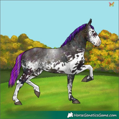 Horse Color:Painted Watercolor White Spotted Midnight Buckskin Ice Onyx 