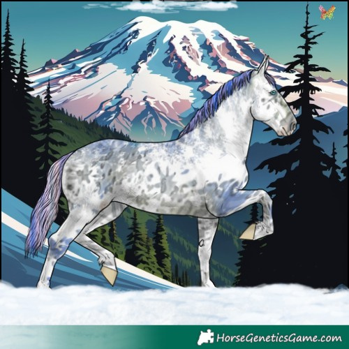 Horse Color:Painted Watercolor White Spotted Buckskin Ice Onyx Sabino Splash 