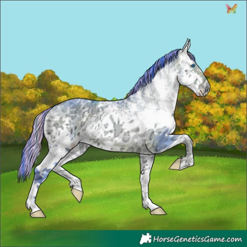 Horse Color:Painted Watercolor White Spotted Buckskin Ice Onyx Sabino Splash