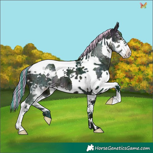 Horse Color:Painted Watercolor Midnight Buckskin Ice Splash Tobiano 