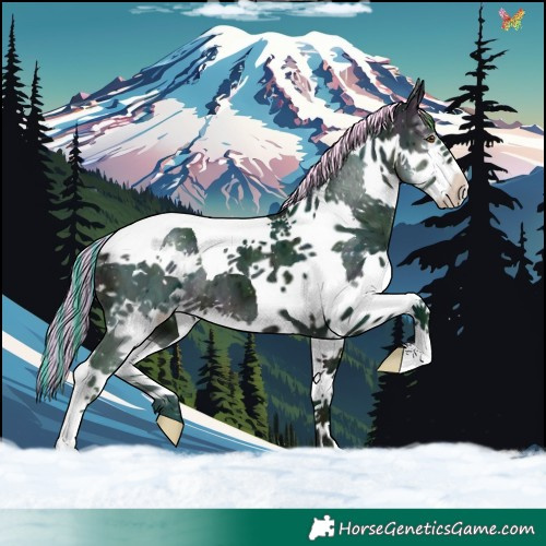 Horse Color:Painted Watercolor Midnight Buckskin Ice Splash Tobiano 