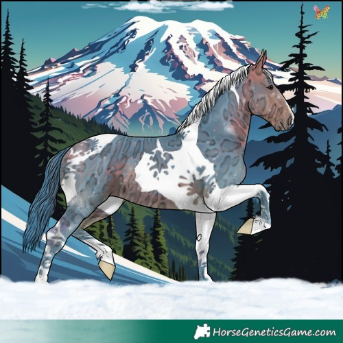 Horse Color:Watercolor Buckskin Ice Tobiano 