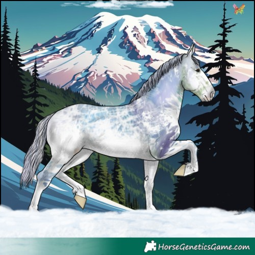 Horse Color:Painted Watercolor White Spotted Silver Buckskin Ice Onyx Sabino 