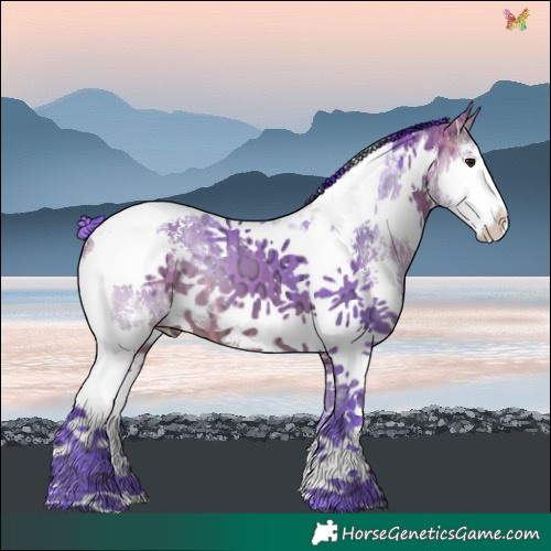 Horse Color:Watercolor Bay Ice Sabino Splash Tobiano 