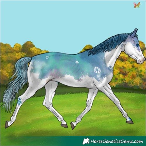Horse Color:Watercolor Brown Sabino Splash 