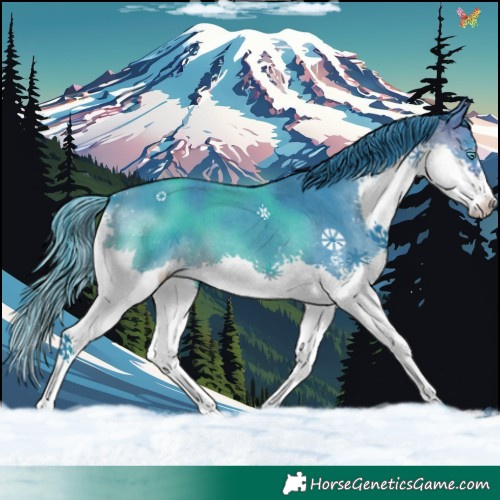 Horse Color:Watercolor Brown Sabino Splash 
