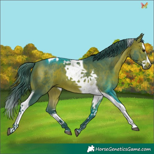 Horse Color:Watercolor Bay Splash Tobiano