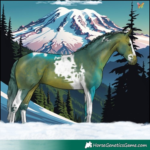 Horse Color:Watercolor Bay Splash Tobiano 