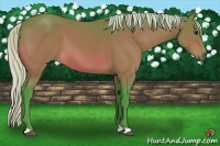 Horse Color:Watercolor Silver Bay 