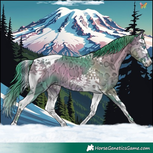 Horse Color:Watercolor Buckskin Ice Onyx Splash Tobiano 