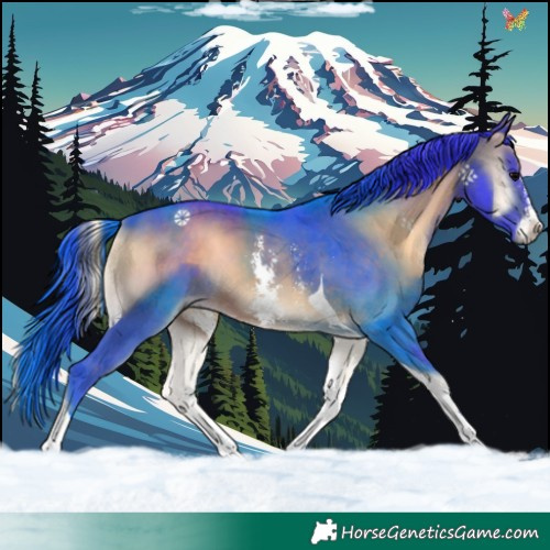 Horse Color:Watercolor Brown Onyx Sabino Tobiano 