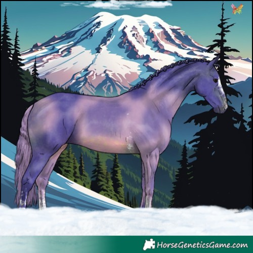 Horse Color:Watercolor Brown Sabino 