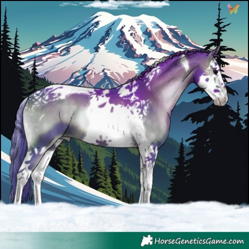 Horse Color:Watercolor Brown Onyx Splash Tobiano 