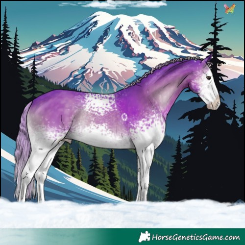 Horse Color:Watercolor White Spotted Chocolate Palomino Onyx Splash 
