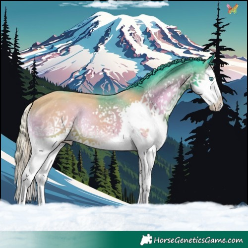 Horse Color:Watercolor White Spotted Liver Red Onyx Splash 