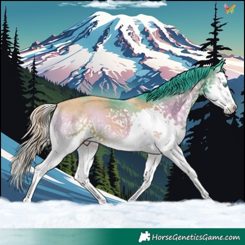 Horse Color:Watercolor White Spotted Liver Red Onyx Splash 