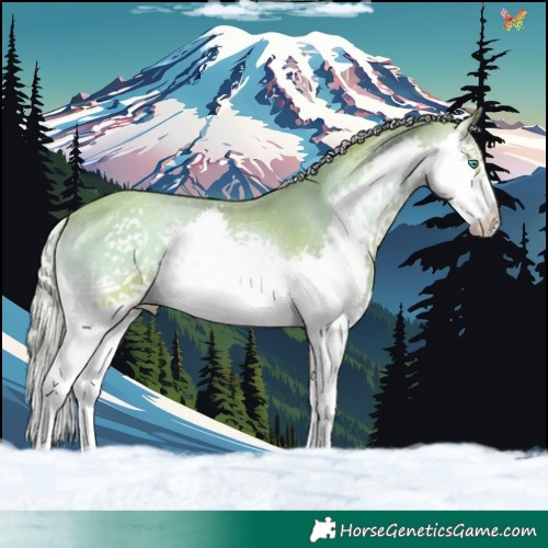Horse Color:Watercolor White Spotted Chocolate Palomino Onyx Splash 