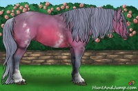 Horse Color:Watercolor White Spotted Bay 