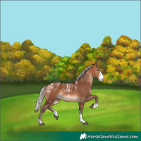Horse Color:Powder White Silver Bay