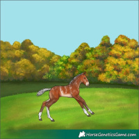 Horse Color:Powder White Silver Bay Tobiano
