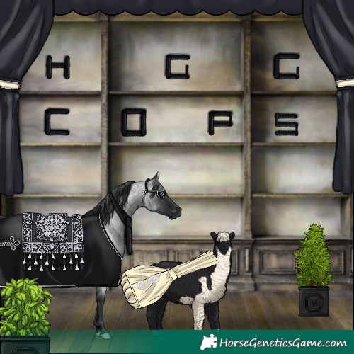 Horse Color:Blue Roan