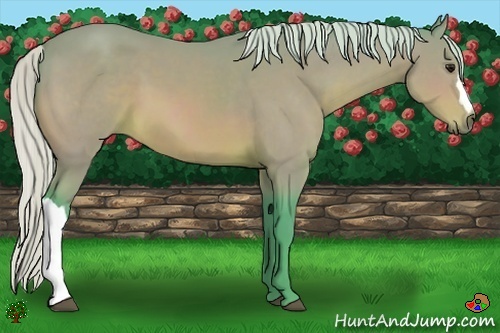 Horse Color:Watercolor Silver Bay 