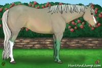 Horse Color:Watercolor Silver Bay
