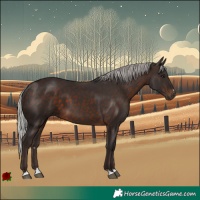 Horse Color:Silver Brown 