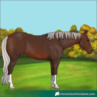 Horse Color:Silver Brown
