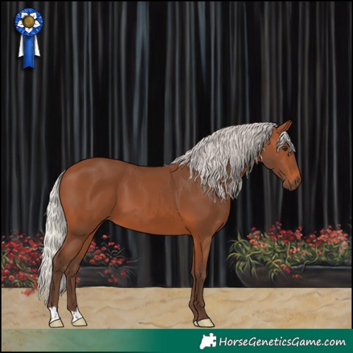 Horse Color:Silver Brown 