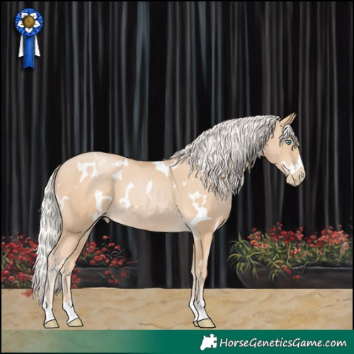 Horse Color:White Spotted Silver Buckskin Pearl 