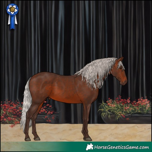 Horse Color:Silver Brown 