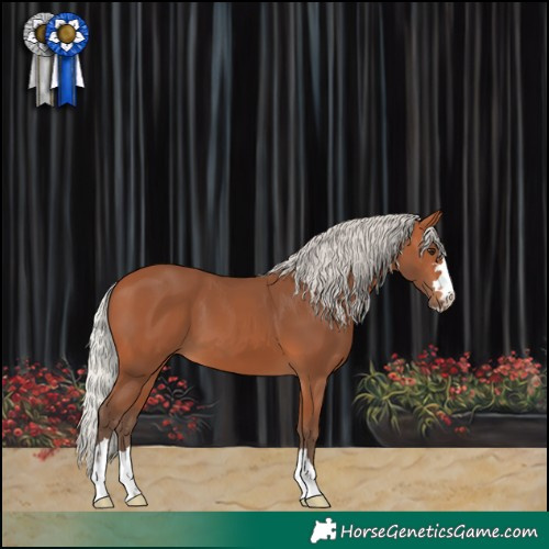 Horse Color:Silver Bay 