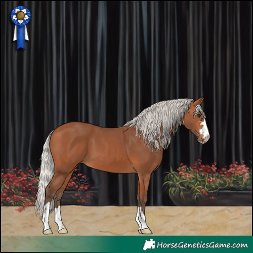 Horse Color:Silver Bay 