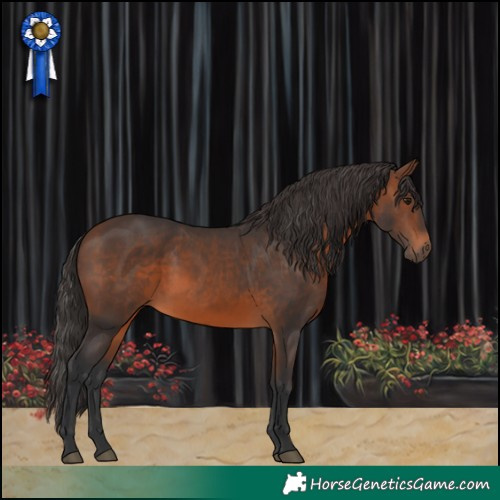 Horse Color:Brown 
