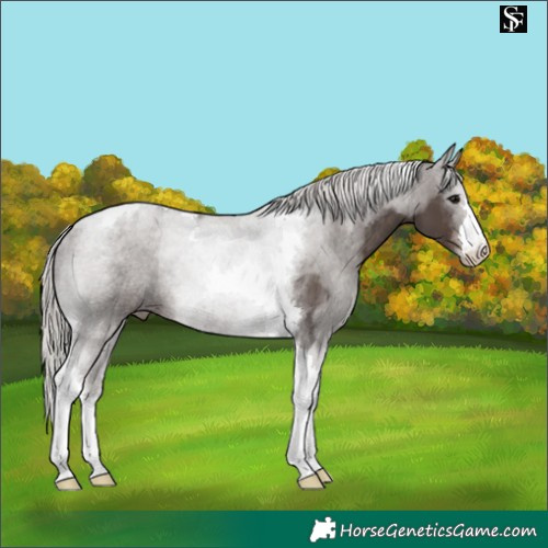 Horse Color:Silver Black Tobiano 