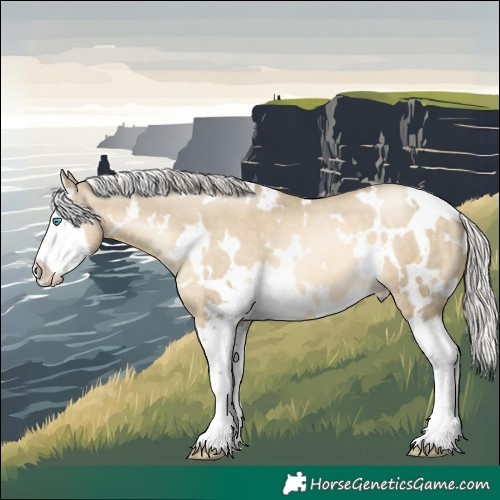 Horse Color:White Spotted Silver Smoky Grullo Pearl Splash 