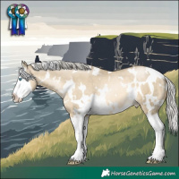 Horse Color:White Spotted Silver Smoky Grullo Pearl Splash 