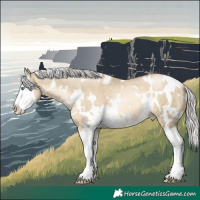 Horse Color:White Spotted Silver Smoky Grullo Pearl Splash