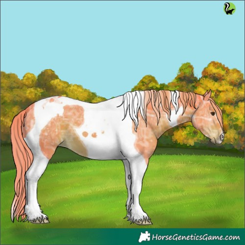 Horse Color:Watercolor Liver Chestnut Ice Tobiano 