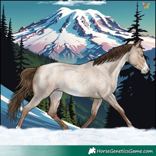 Horse Color:Brown Roan Pearl Dun Frame 