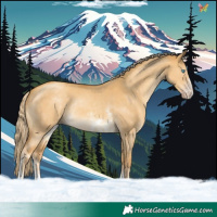 Horse Color:Gold Cream Champagne Dun Sabino Rabicano 