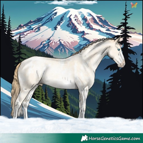 Horse Color:White Spotted Amber Cream Champagne Pearl Dun Sabino 