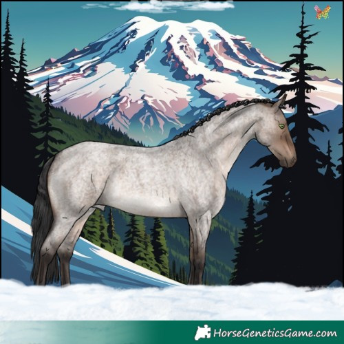 Horse Color:Brown Roan Dun Rabicano 